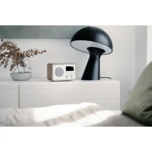 Argon-Audio-RADIO-1-prijemnik-FM-i-DAB-212.webp