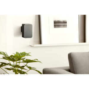 Bluesound-PULSE-FLEX-2i-Wireless-zvucnik-16.jpg