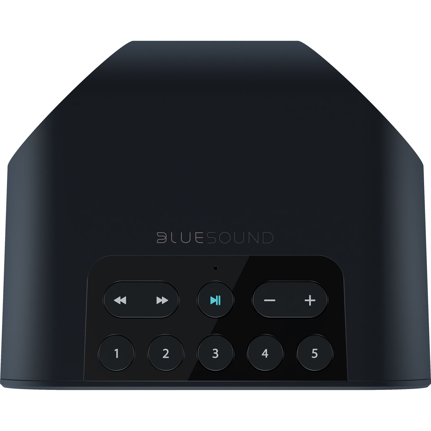 Bluesound-PULSE-FLEX-2i-Wireless-zvucnik-5.jpg