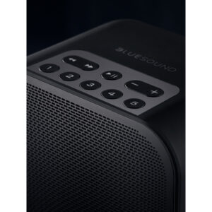 Bluesound-PULSE-FLEX-2i-Wireless-zvucnik-7.jpg