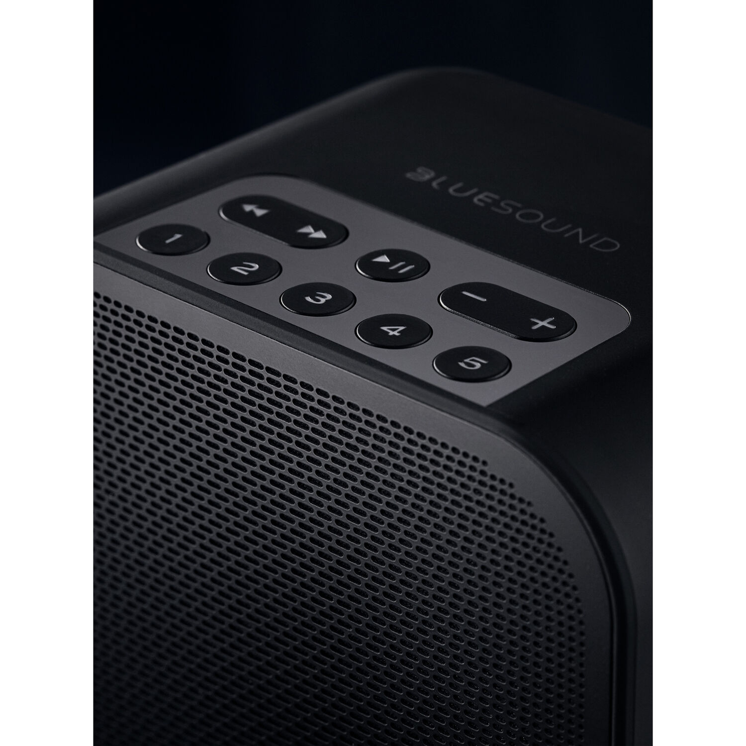 Bluesound-PULSE-FLEX-2i-Wireless-zvucnik-7.jpg