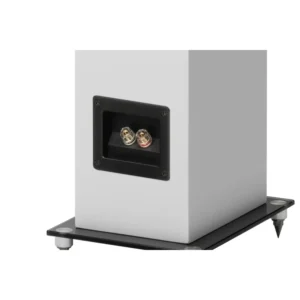 Pro-Ject-BOX10-E-Carbon-par-2.webp