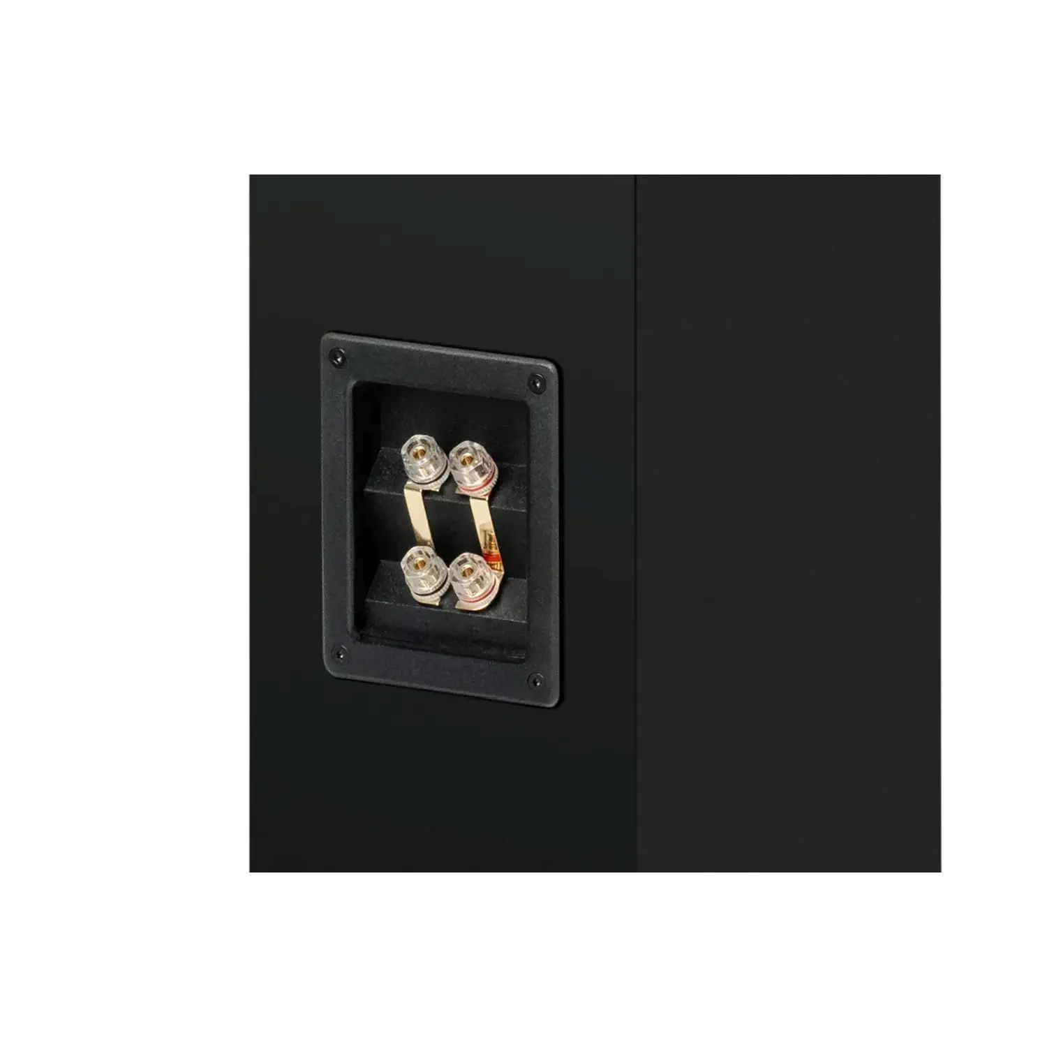 Pro-Ject-BOX12-E-Carbon-Walnut-par-3.webp