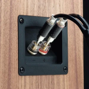 Pro-Ject-Speaker-Box-10-S2-floorstand-zvucnik-4.webp