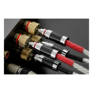 WiiM-AMP-streamer-mrezno-stereo-pojacalo-i-plejer-8.webp